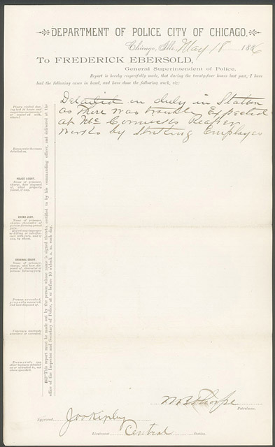 Chicago Police Department Report