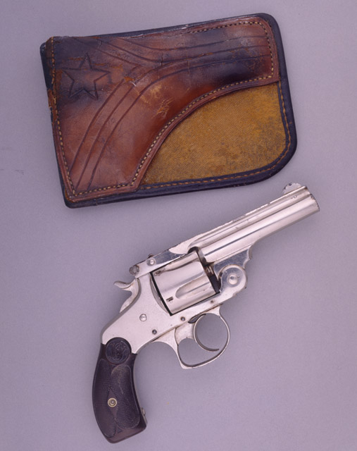 Revolver and Holster